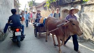 vietnam, Jan Greune,